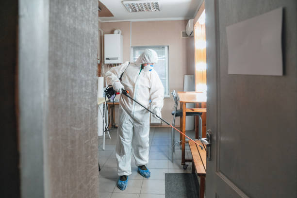 Best Mold Documentation for Insurance Claims  in Piedmont, AL