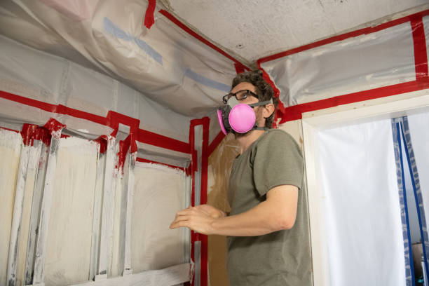 Biohazard Mold Removal in Piedmont, AL