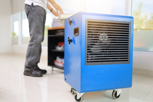Best Airborne Mold Testing  in Piedmont, AL