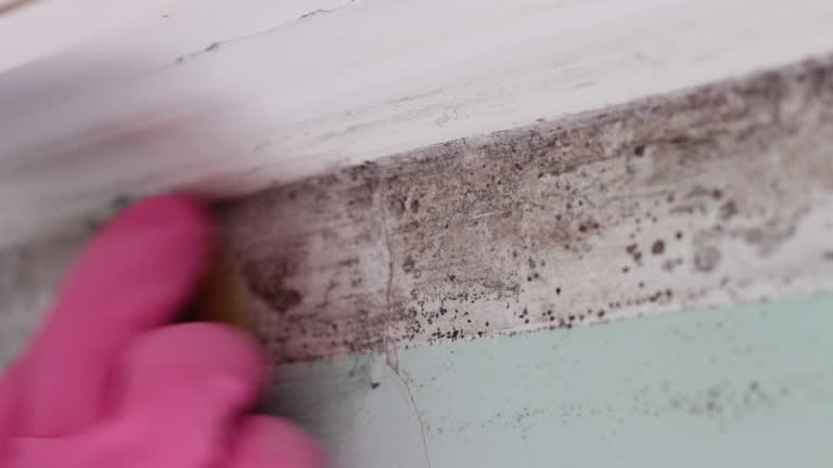Best Real Estate Mold Inspection  in Piedmont, AL